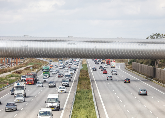 �������� ������ ʸ��