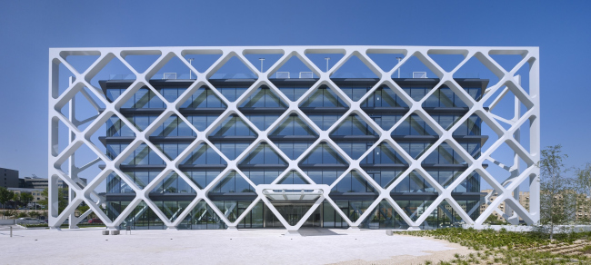 ������� ������ oxxeo