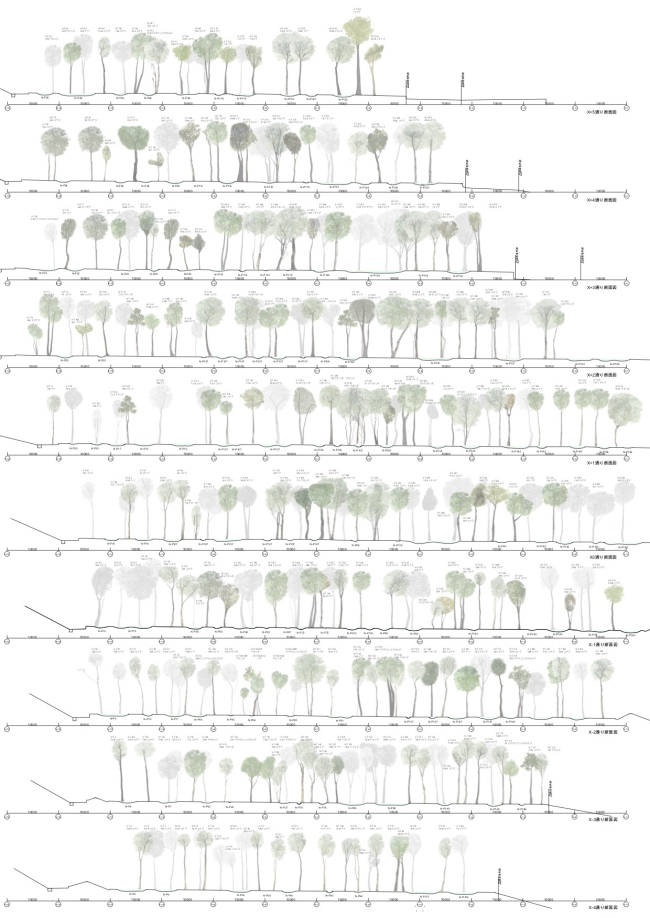 ������ ��� � ���-���������� Art Biotop Nasu. ������