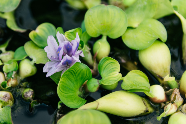 �������� �������� � ����� �� ��������� ������ �� ���������� ����� �����, ������