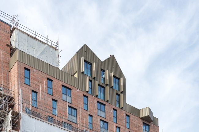 ����� ������� KAMPUS