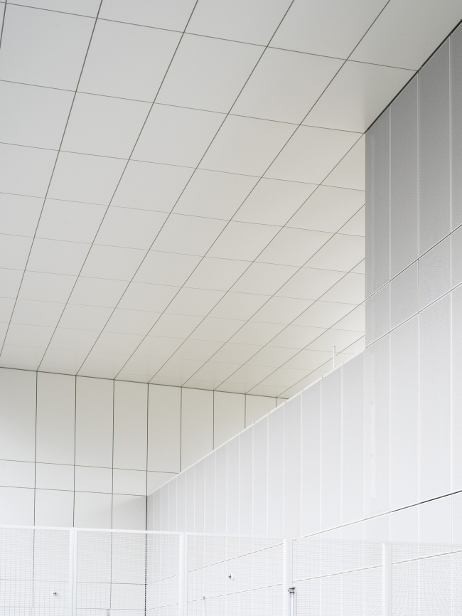 ���� �������������� ������