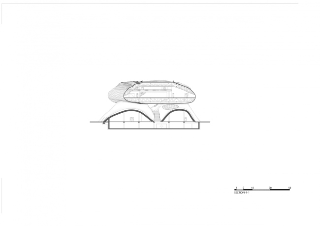 �������� �����