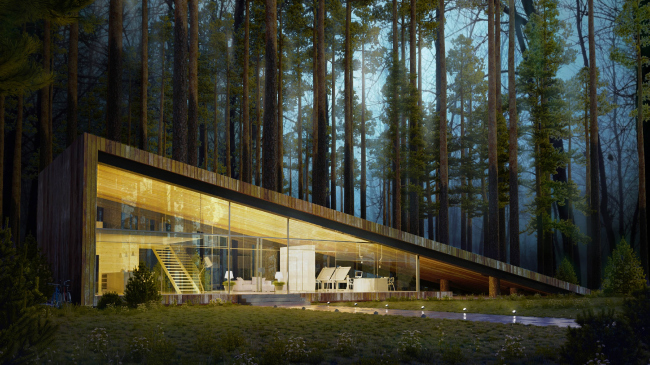 ���-������ � ������� �������� ���� (���������� �������), ������������� ������ RCode 