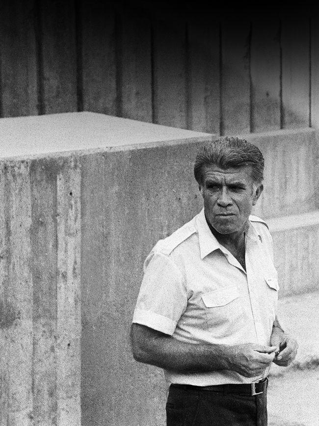 ������ �������. 1984