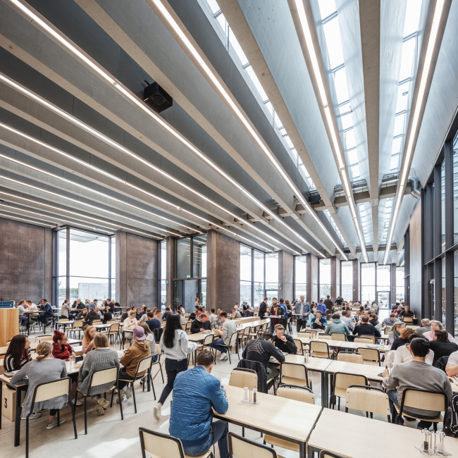 ������ adidas HALFTIME