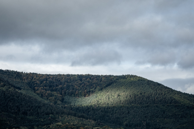 ������� Portes Bonheur � le Chemin des Carrières