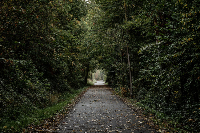 ������� Portes Bonheur � le Chemin des Carrières