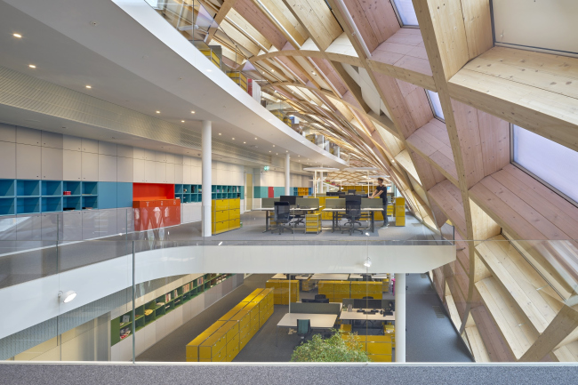 ����-�������� Swatch