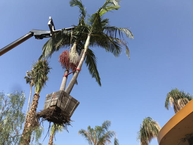 HolLA � ��������� �������� Second Home � �������� �������������