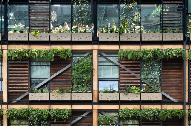 �������� �� �������-�����