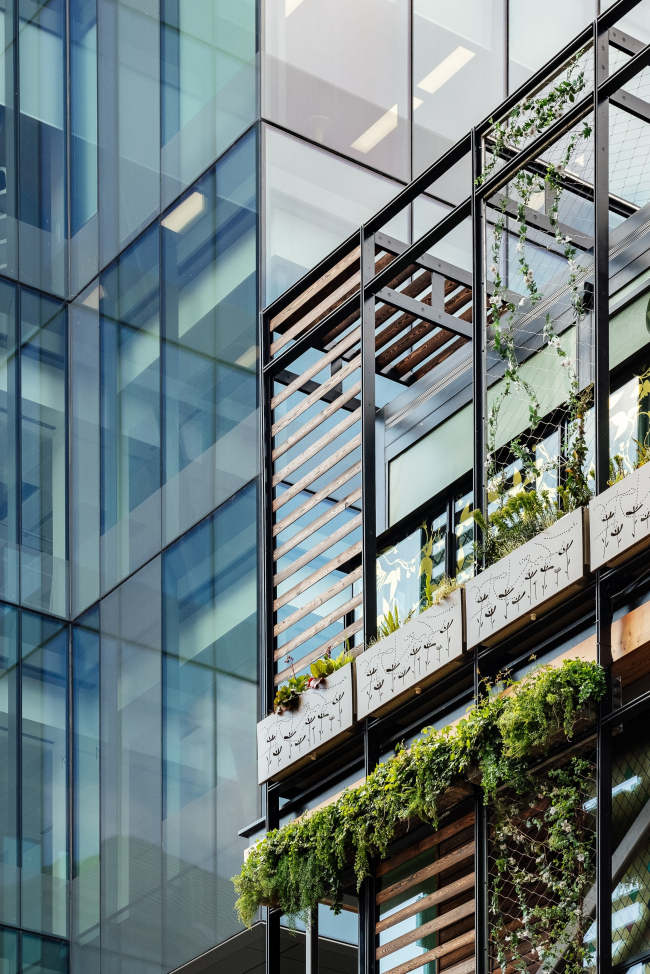 �������� �� �������-�����