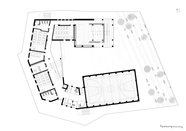 ����� ����� ������� ����