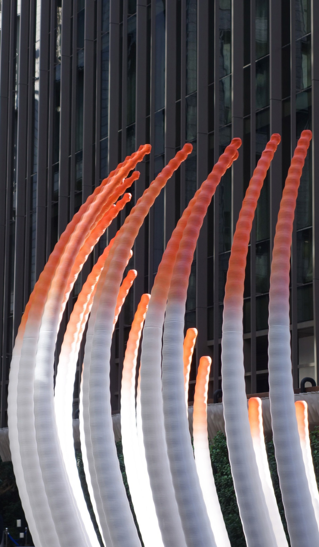 �������� Deciduous � �����