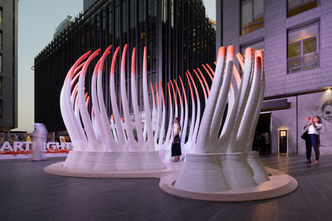 �������� Deciduous � �����