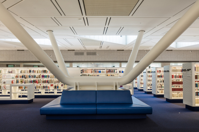 ������������ ���������� �����������