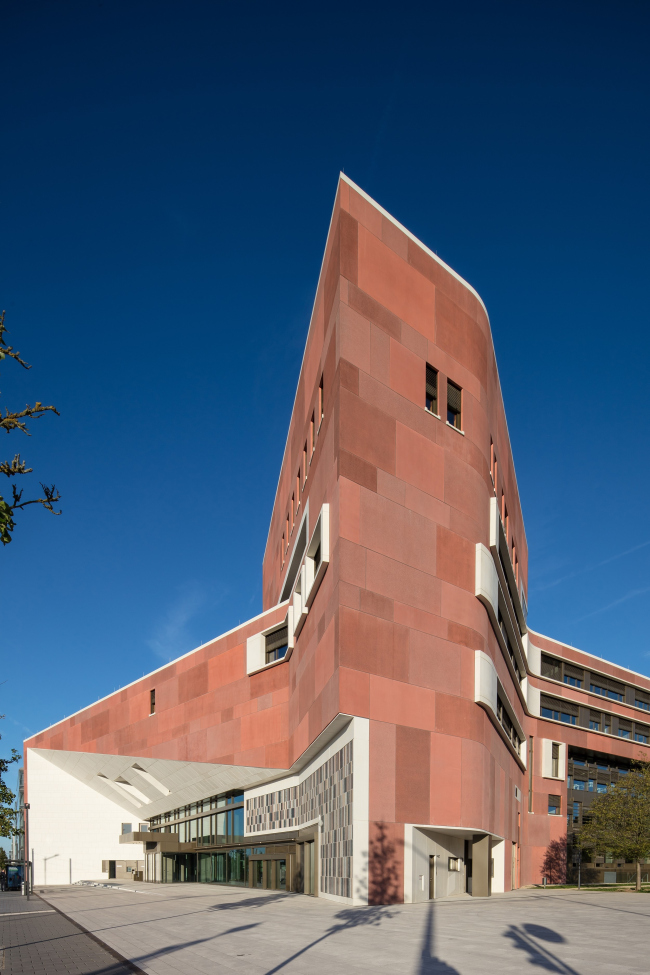 ������������ ���������� �����������