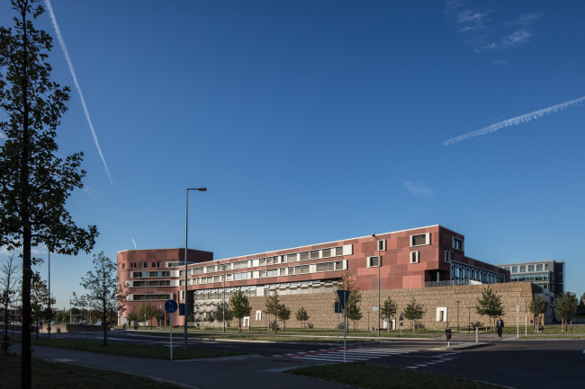 ������������ ���������� �����������