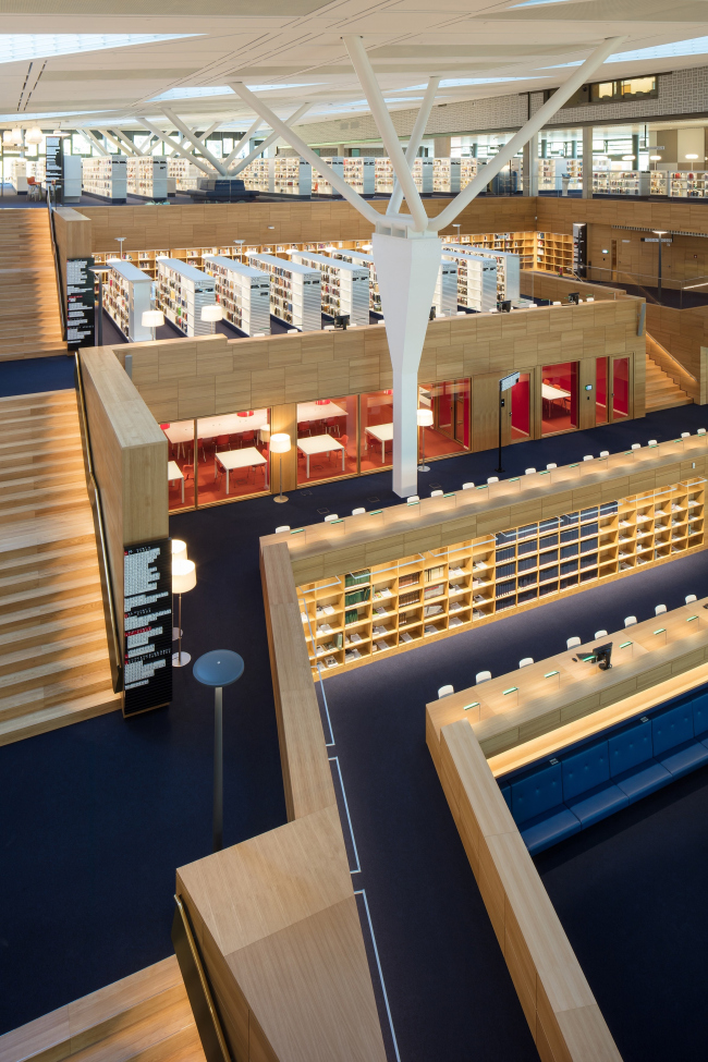 ������������ ���������� �����������