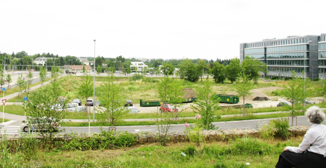 ������������ ���������� �����������. ������� �� ������ �������������