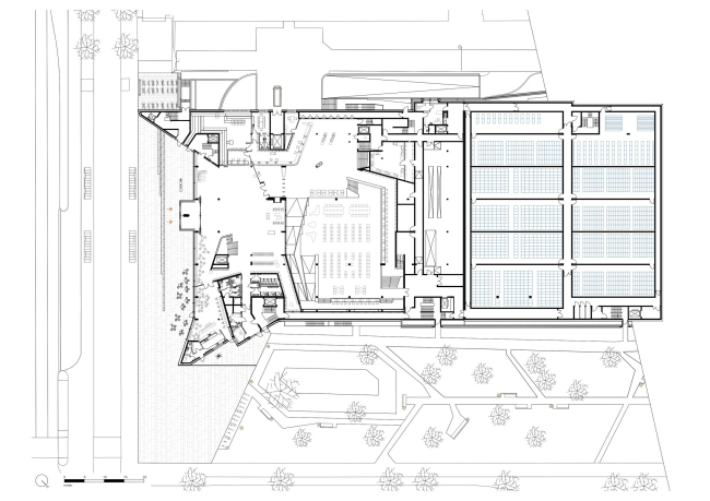 ������������ ���������� �����������