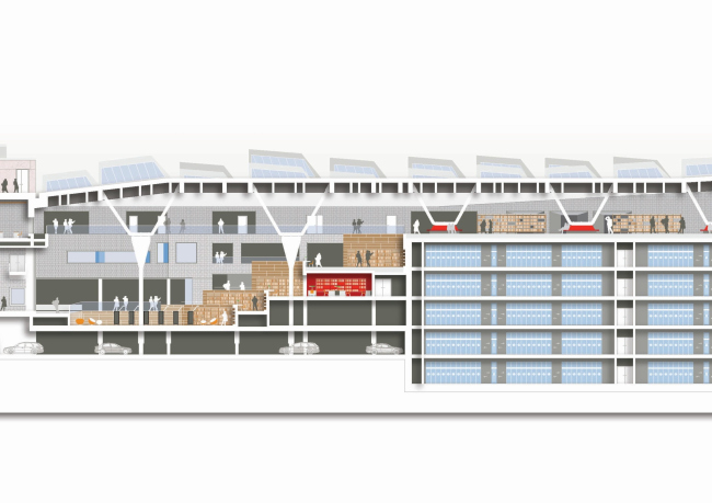 ������������ ���������� �����������