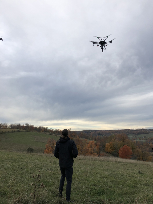 ������ �� �������������� ����� Flash Forest