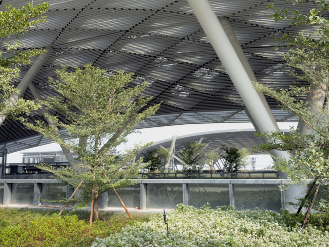 ������������� ��������� ����������� � ��������-�����