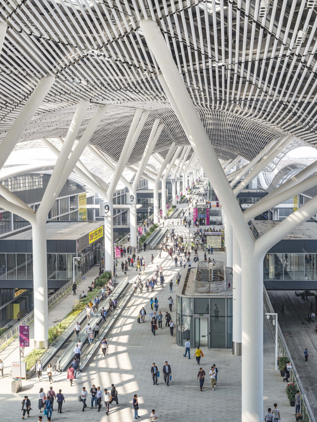 ������������� ��������� ����������� � ��������-�����