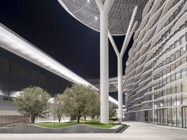 ������������� ��������� ����������� � ��������-�����