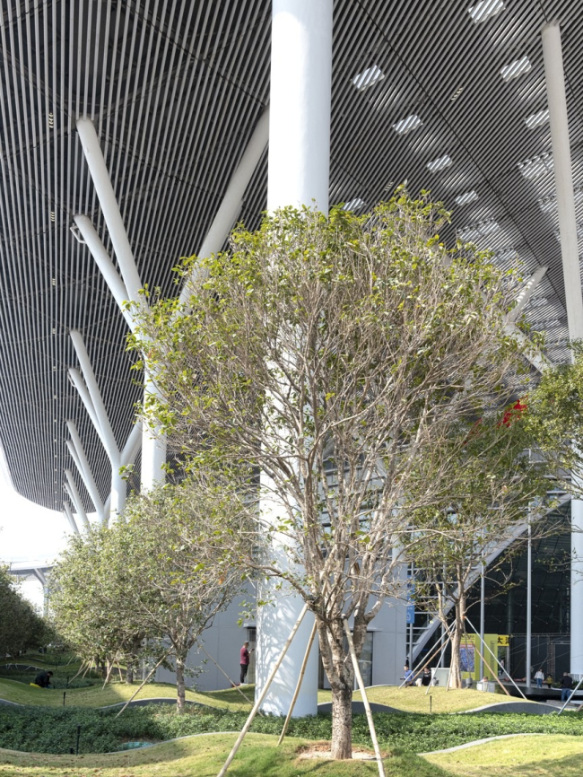 ������������� ��������� ����������� � ��������-�����