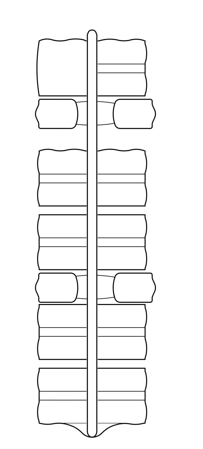 ������������� ��������� ����������� � ��������-�����