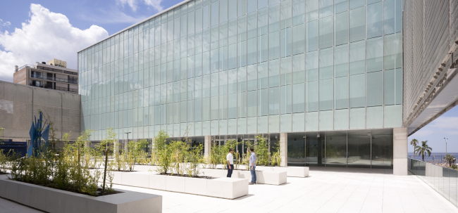 ������ ������������������� ����� �������� CAF