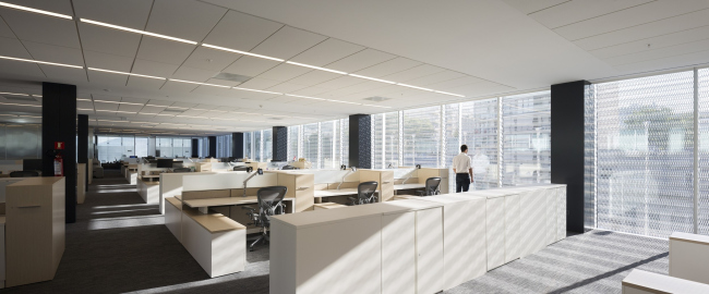 ������ ������������������� ����� �������� CAF