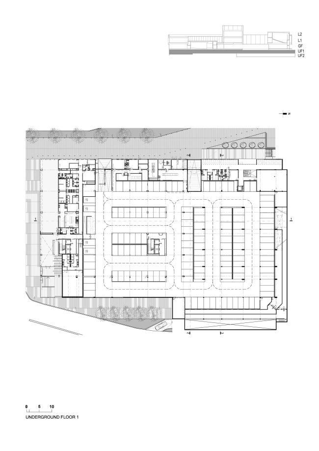 ������ ������������������� ����� �������� CAF