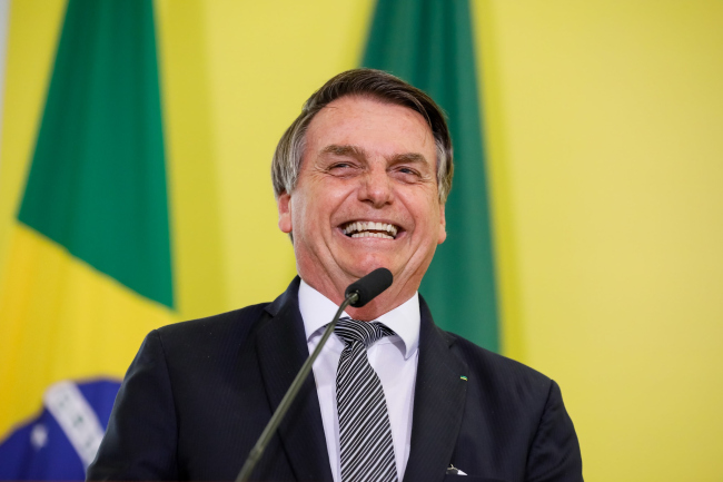 ���� ���������, �������� 2019
