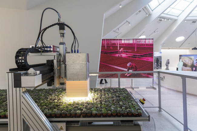 Countryside, The Future. �������� ���� ������� � ����� ����������� � ���-�����