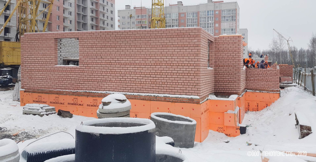 ��������Ѯ