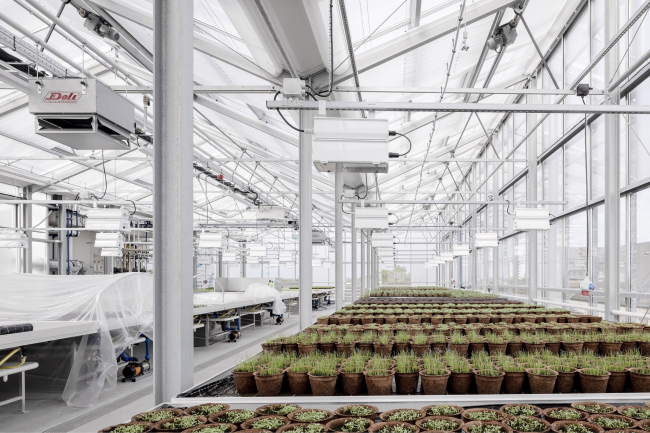 ���������������� ������ � �������� �� �����