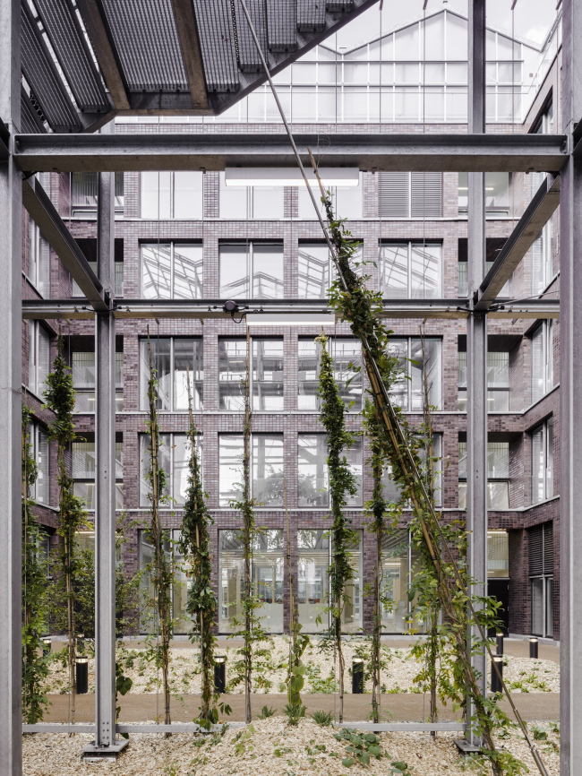 ���������������� ������ � �������� �� �����