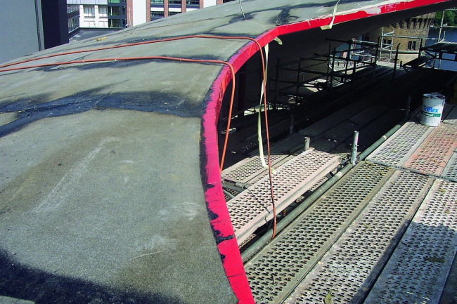 ����� ����� ���� � �������� �������������