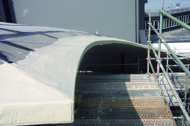 ����� ����� ���� � �������� �������������