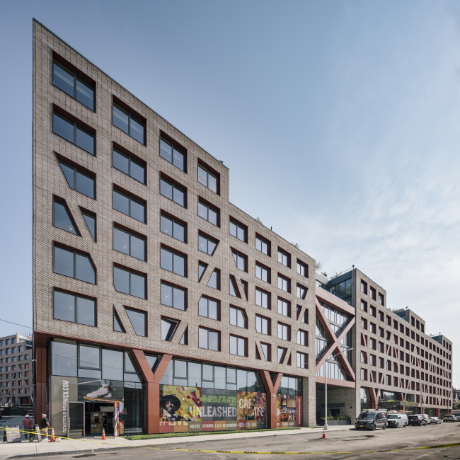 ����� �������� Denizen Bushwick