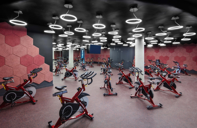 ����� �������� Denizen Bushwick