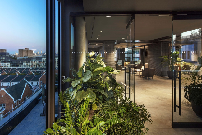 ����� �������� Denizen Bushwick