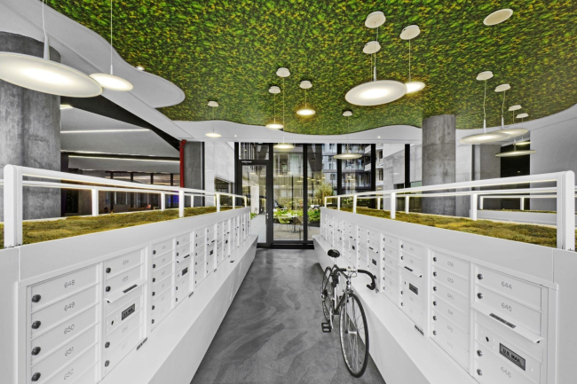 ����� �������� Denizen Bushwick