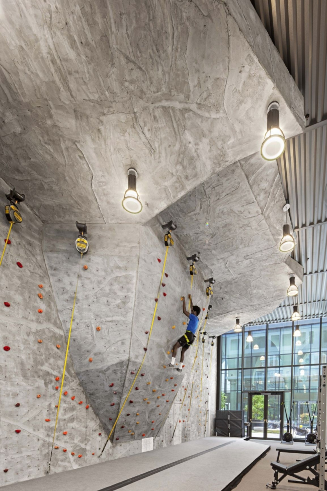 ����� �������� Denizen Bushwick