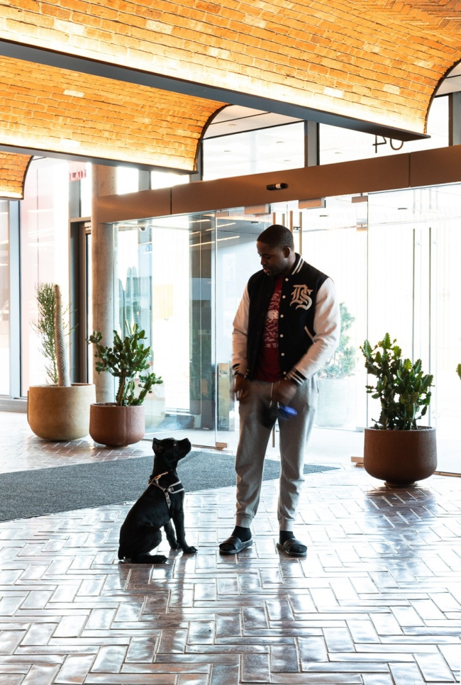 ����� �������� Denizen Bushwick � ��� ���������