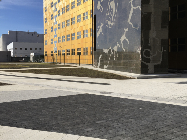 ��������������-������������� ����� ������� �������� �� ����������� �����, ���� 2020