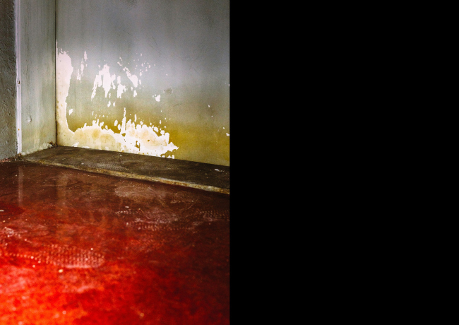 ���������� �� ����� ��������